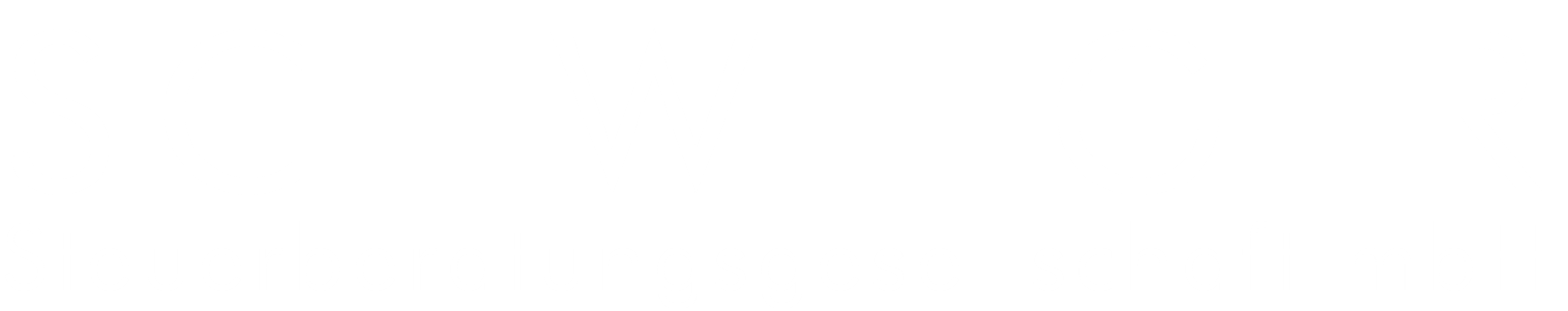 Schweiger Steuerberatung Logo weiß